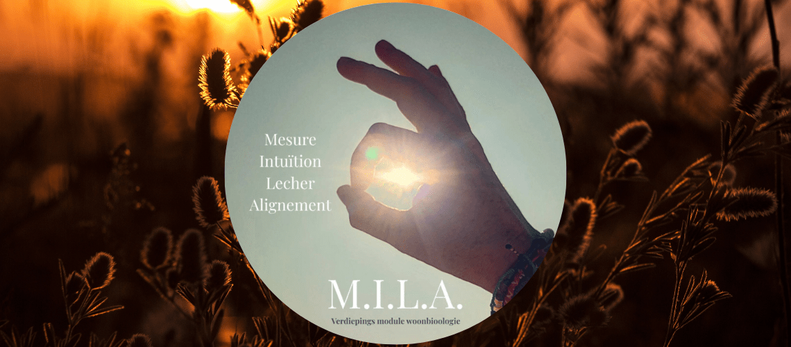 Ontwerp zonder titel (2)